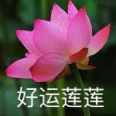 金箍棒传奇官方